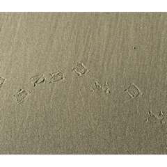 2nd: Cute footprints and natural scenery