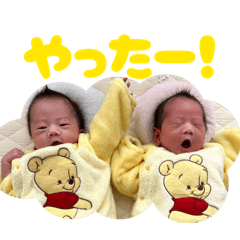 my_20260305051129