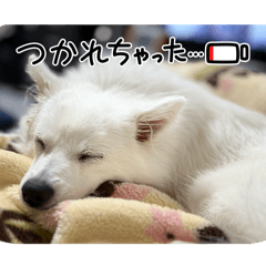 yabun_20260304215649
