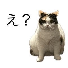 c_20260304215819