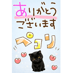 とびだす★黒猫★長文