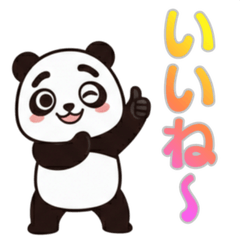 Thick-Eyebrowed Panda 4