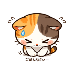 Cute Cat Apology Set
