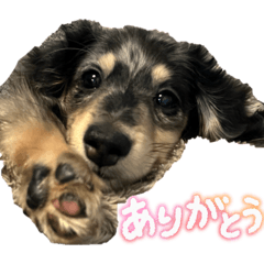 Yuka_20260304225703