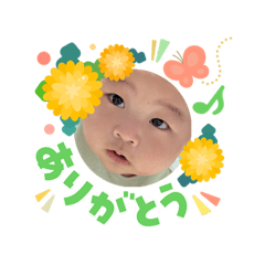 masa_20260305111658