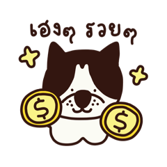 Boya_20260304234512