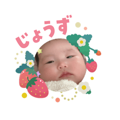 t.i_20260305112609