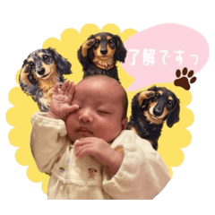 Suzuna_20260305112947