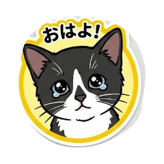 mumuco_20260305123415