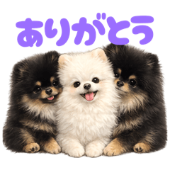 piropiro_20260305123518