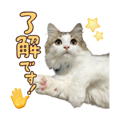 monyo_20260305124545