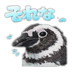 Bocchi_20260305123936