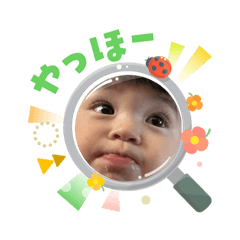 Koto_20260304231056
