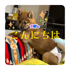masa_20260305125952