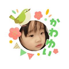 blossom_20260305131032