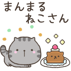 まんまる ねこさん⭐︎シルバータビー