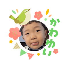 TYACC_20260305081301