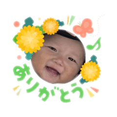 sakihokoruhana_20260305134330
