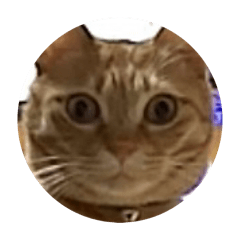 yuhki_20260305134552