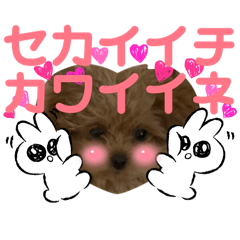 Wenwen_20260305001138