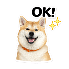 aitan425_20260305002102