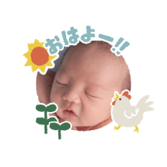 saoringo_20260305001938