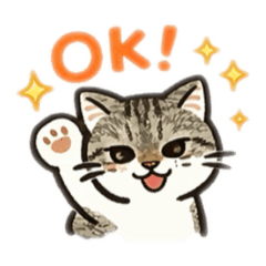 yorino_20260304201150