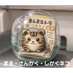 matamata1424_20260304200251