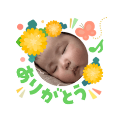 t.i_20260305115713