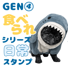 Black Pug Gen Unbothered Reactions