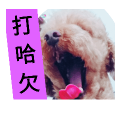多多的生活記