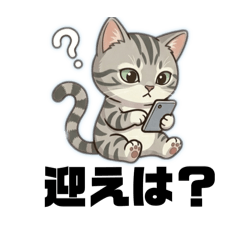 niremu_20260305120238