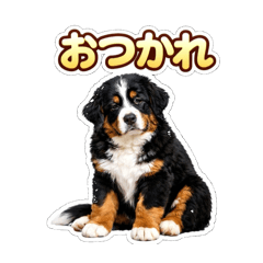 HANABI_20260305115907