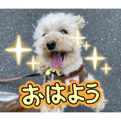 nyanpei_20260305144649