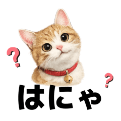 Fluffy Real Cat stickers