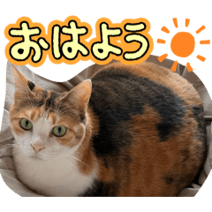 K_20260305153311