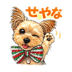 Murajun_20260305162524