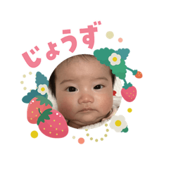 sinq_20260305195414