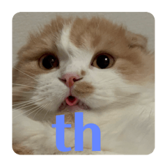 shohei_20260305194624