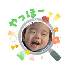 pachi_20260305181138