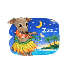 fuwarin_20260305181811@