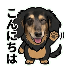Miniature Dachshund_LINEsticker