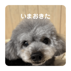 kuruchan_20260305165546