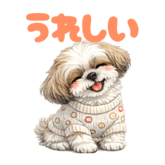 piropiro_20260305211711