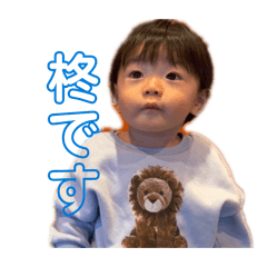 momo_20260306021301