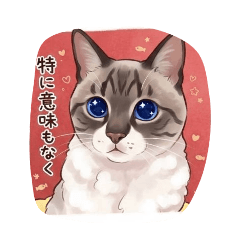 mumuco_20260306065636