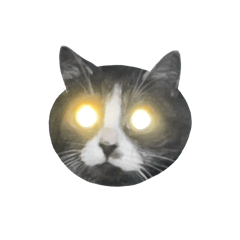 Family stuff C_20260306070956