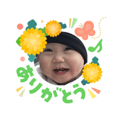 Shima_20260306071435