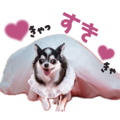 risa_20260305232552