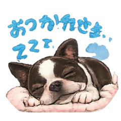kawaiiBosutonteria